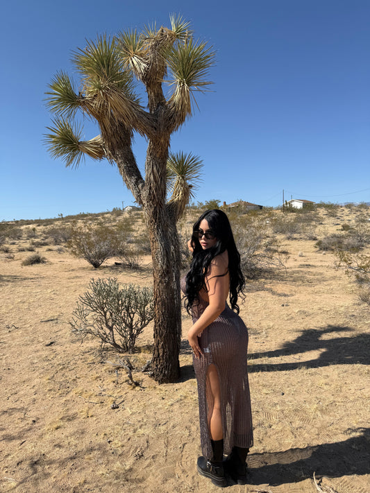 Desert Metallic Dress