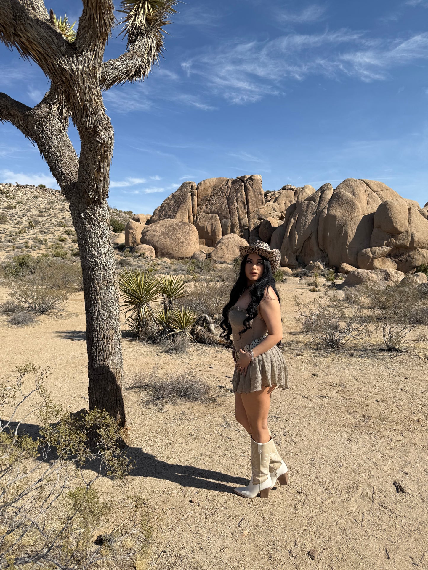Mojave Dress